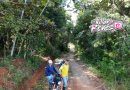 Puerto Rico y Puerto Lleras transforman sus vías rurales con trabajo conjunto entre Gobernación y comunidad
