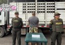 Capturan a hombre por transporte ilegal de caballos en el Meta