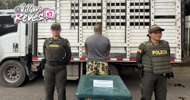 Capturan a hombre por transporte ilegal de caballos en el Meta