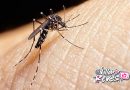 Meta en alerta: tres muertes por fiebre amarilla y continúa la vacunación masiva