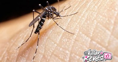 Meta en alerta: tres muertes por fiebre amarilla y continúa la vacunación masiva