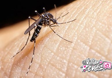 Meta en alerta: tres muertes por fiebre amarilla y continúa la vacunación masiva