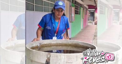 Eliminar los criaderos del mosquito para evitar el dengue y fiebre amarilla