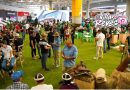 El Meta mostró su sabor, cultura y talento en la jornada ‘Orgullo Llanero’